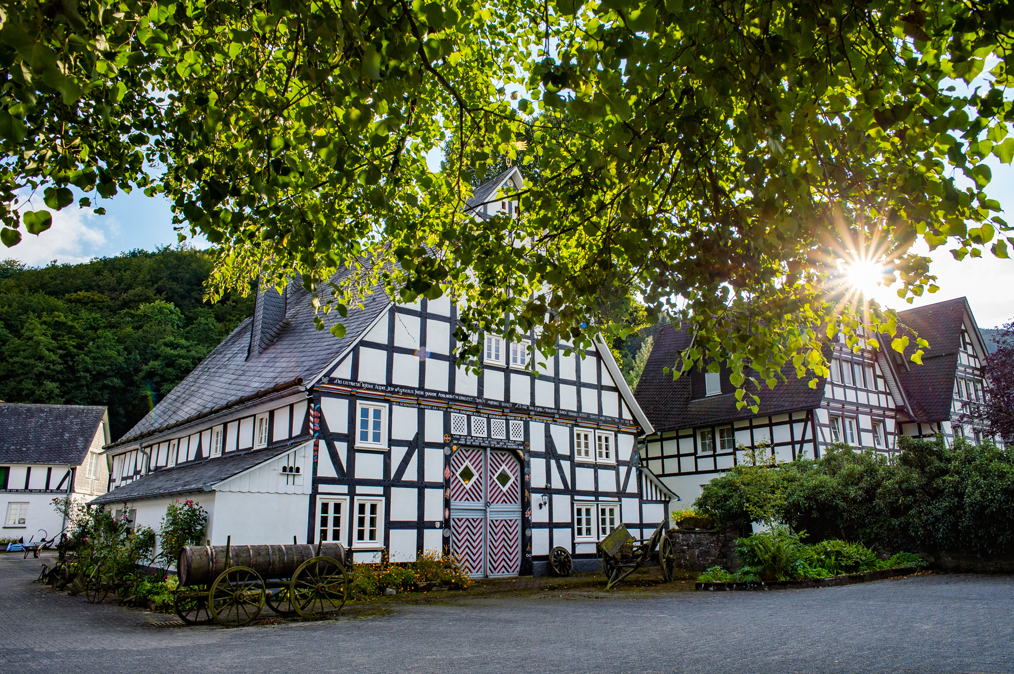 Umgebung / Pension Haus am Walde